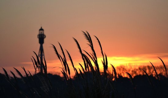 Faro San Antonio
